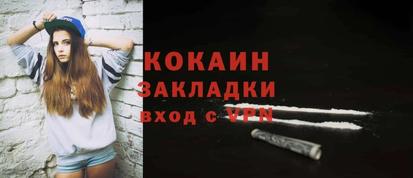 твердый Каменка