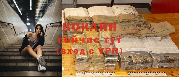 твердый Каменка