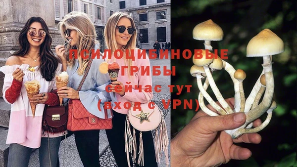 гашиш Сосновый Бор