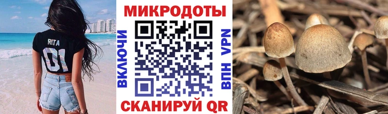 Купить закладки  Дятьково  Галлюциногенные грибы мухоморы 