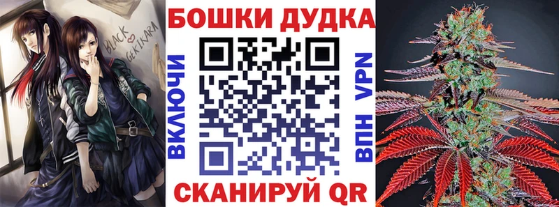 Купить закладки  Дятьково  Бошки Шишки сатива 